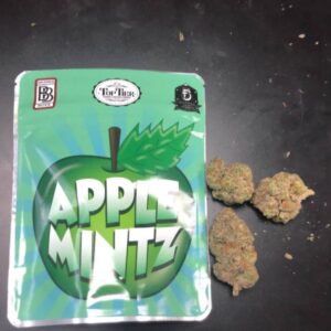 Buy Apple Mintz Backpackboyz