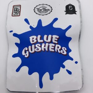 Buy Blue Gushers Backpackboyz