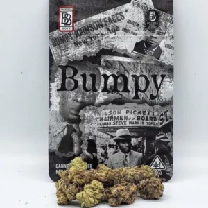 Buy Bumpy Backpackboyz Online