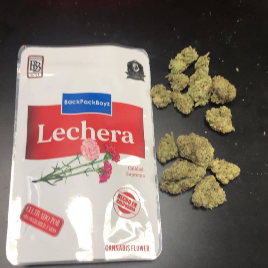 Buy Lechera Backpackboyz