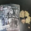 Buy Lucky Backpackboyz Online