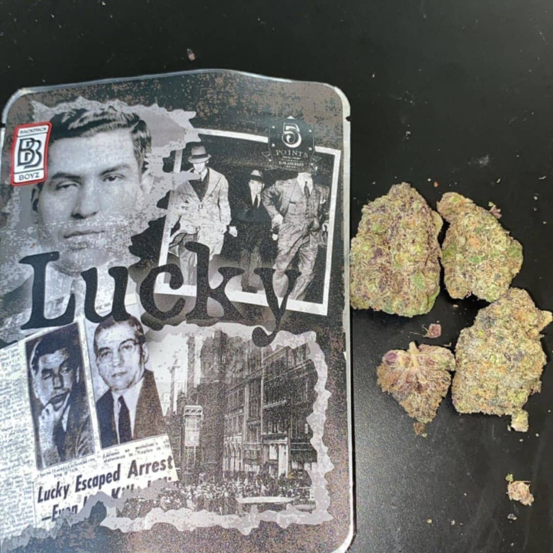 Buy Lucky Backpackboyz Online