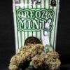 Buy Oreoz & Mintz Backpackboyz