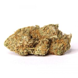 Amnesia Haze