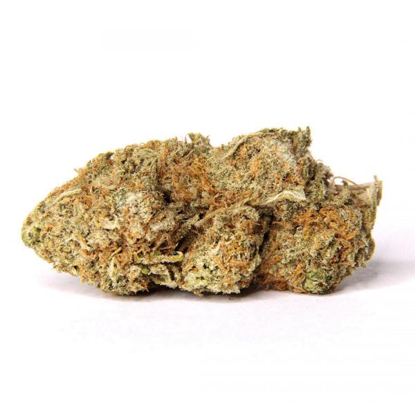 Amnesia Haze