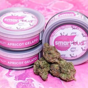 Apricot Gelato Smart Bud