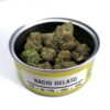 Bacio Gelato Space Monkey