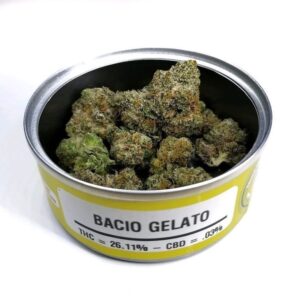 Bacio Gelato Space Monkey