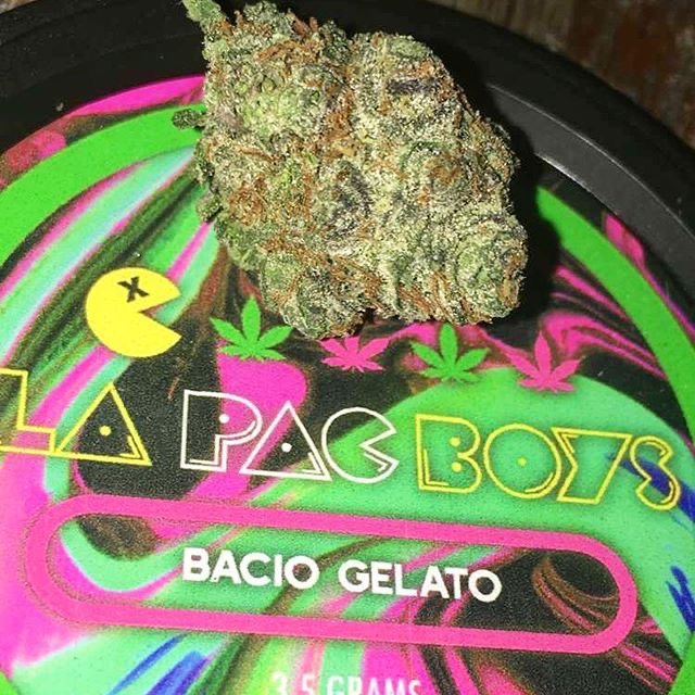 Bacio Gelato