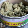 Banana Punch Smart Bud