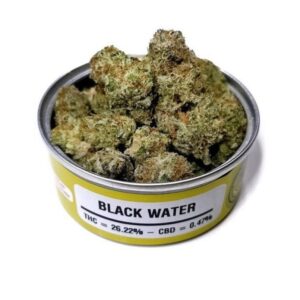 Black Water Space Monkey