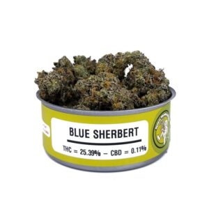 Blue Sherbert Space Monkey