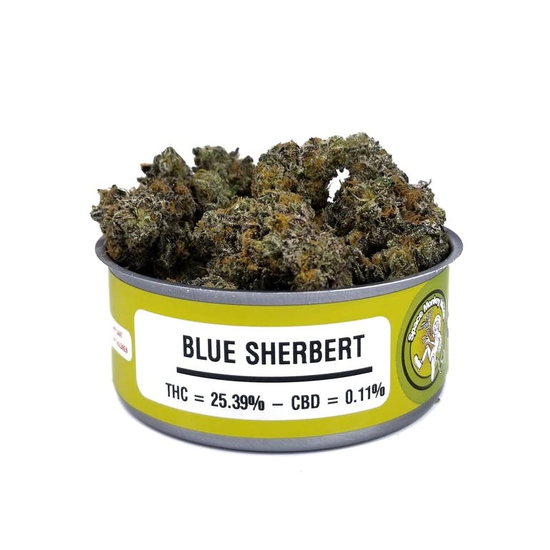 Blue Sherbert Space Monkey