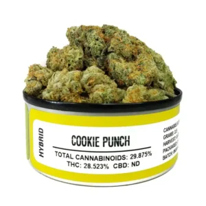 Cookie Punch Space Monkey
