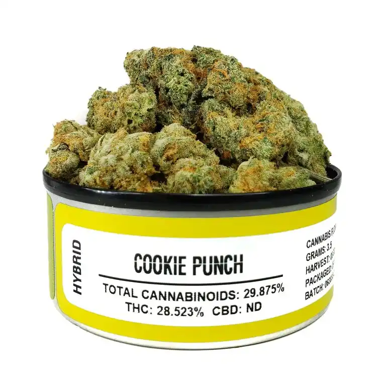 Cookie Punch Space Monkey