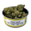 Crazy Glue Space Monkey