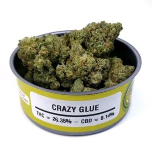 Crazy Glue Space Monkey
