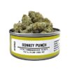 Donkey Punch Space Monkey