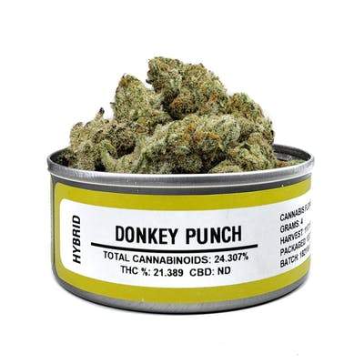 Donkey Punch Space Monkey
