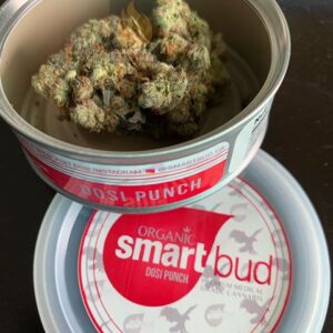 Dosi Punch Smart Bud