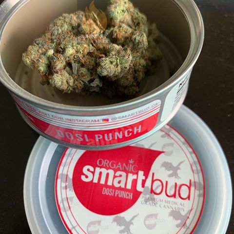 Dosi Punch Smart Bud
