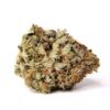 Dutch Treat Weed