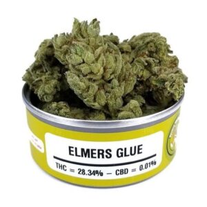 Elmers Glue Space Monkey