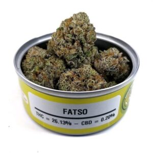 Fatso Space Monkey