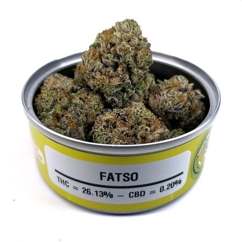 Fatso Space Monkey