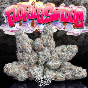 Florida Sundae