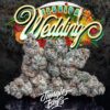 Florida Wedding