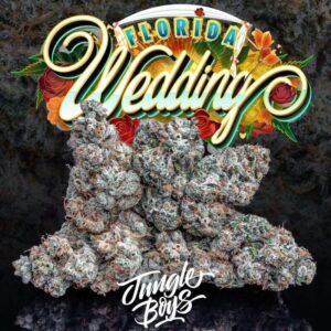 Florida Wedding