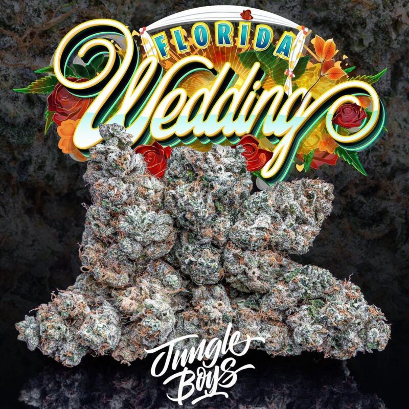 Florida Wedding