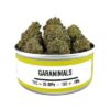 Garanimals Space Monkey