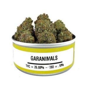 Garanimals Space Monkey