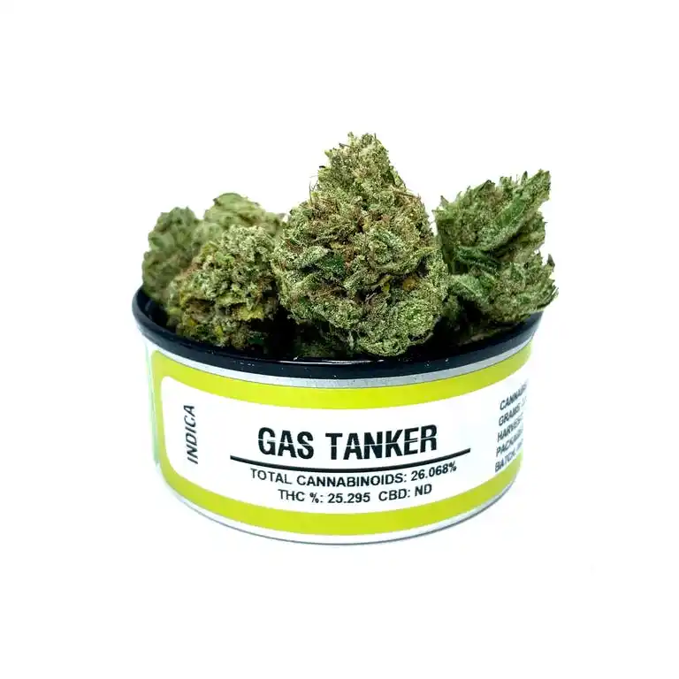 Gas Tanker Space Monkey
