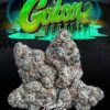 Gator Breath