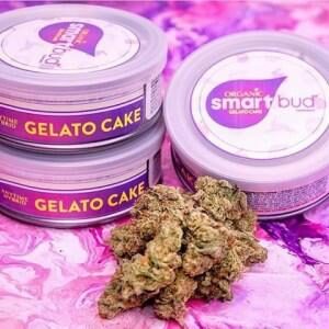 Gelato Cake Smart Bud
