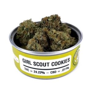 Girls Scout Cookies Space