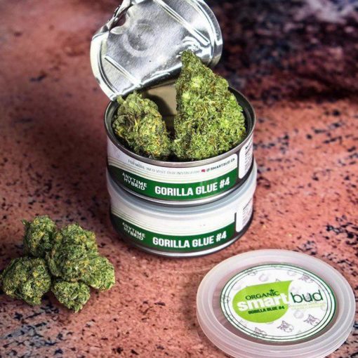 Gorilla Glue #4 Smart Bud