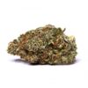 Jack The Ripper