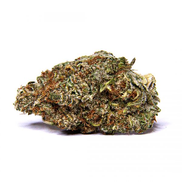 Jack The Ripper