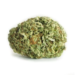 Jet Fuel