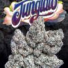 Junglato
