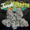 Jungle Canyon