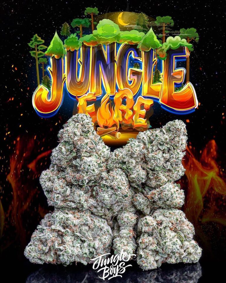 Jungle Fire