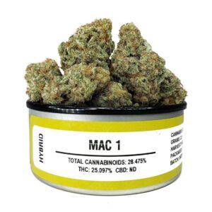MAC 1 Space Monkey