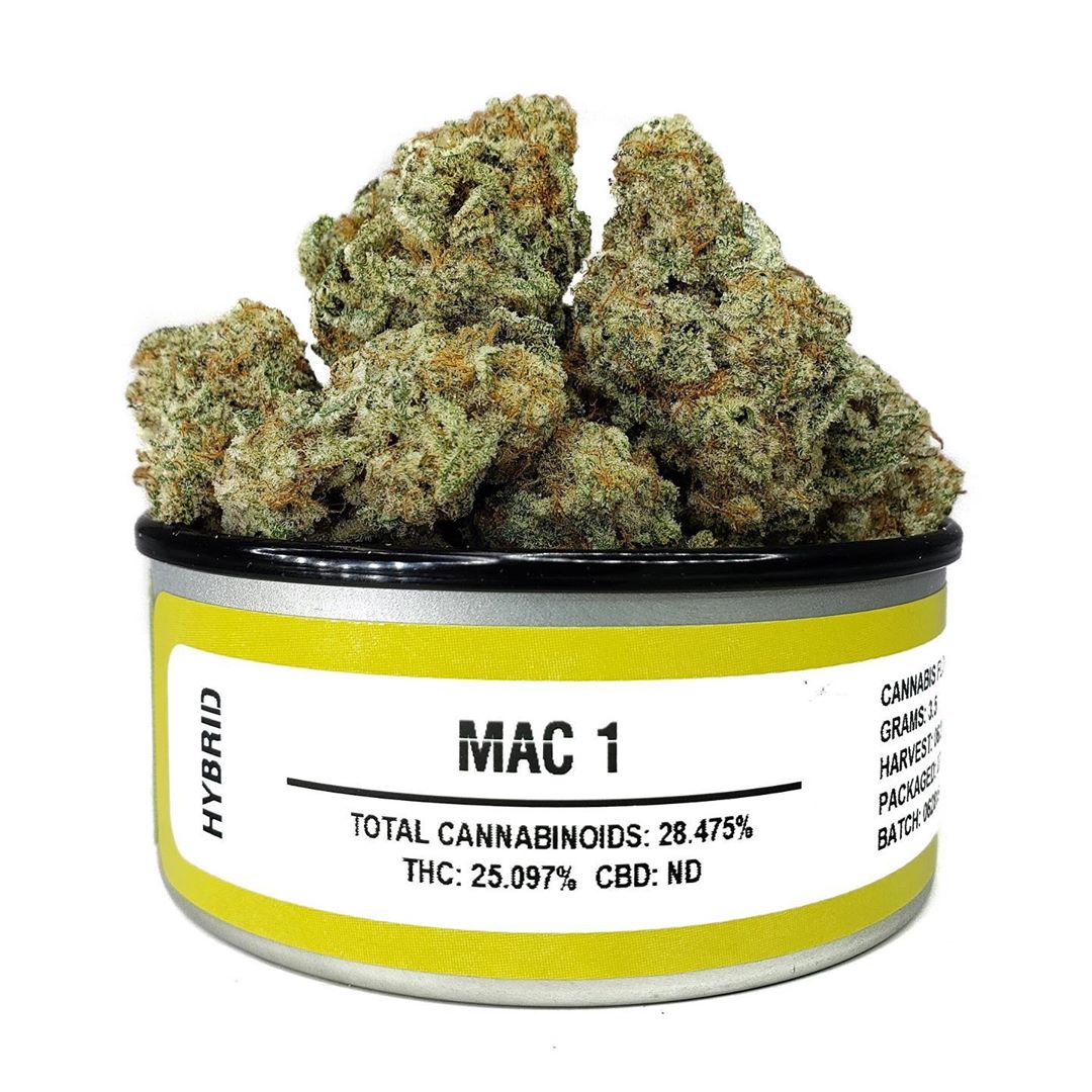 MAC 1 Space Monkey