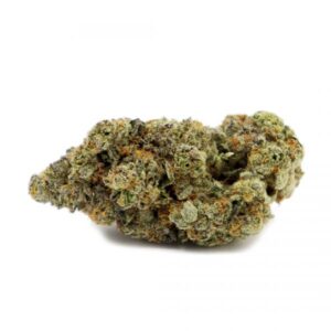 Mendo Breath