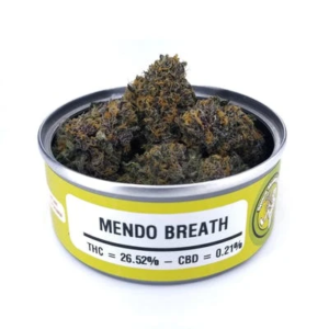 Mendo Breath Space Monkey